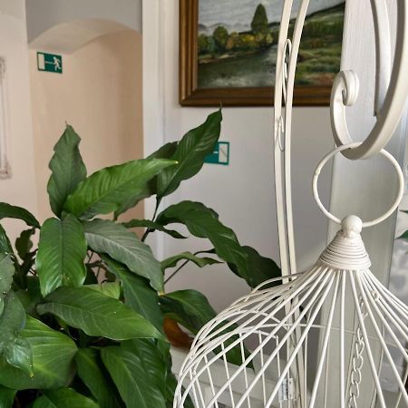 Penzion Pomodoro Vrbno pod Pradědem Extérieur photo